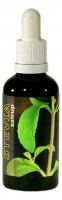 A nagyításhoz kattintson a képre! Stevia Szirup 50 ml