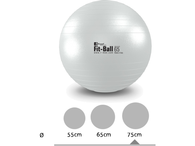 Fit-ball Tartásjavító Labda - Gyöngyház 65 cm